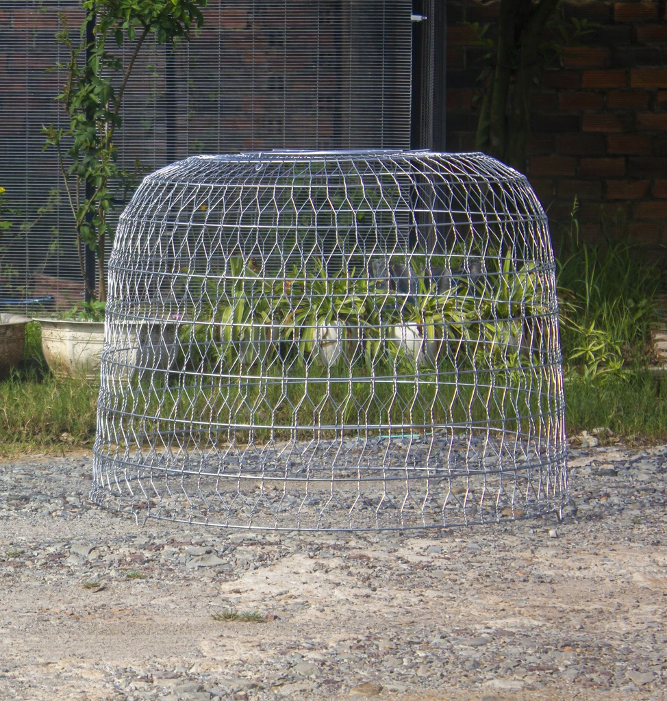 Bội Thake 1.0m nặng 6.0kg